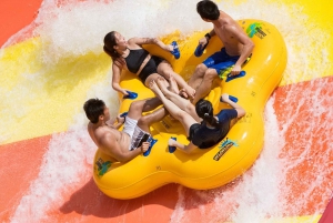 Singapore: Wild Wild Wet Waterpark Admission Ticket