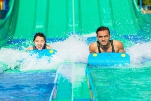 Singapore: Wild Wild Wet Waterpark Admission Ticket