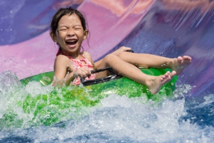 Singapore: Wild Wild Wet Waterpark Admission Ticket