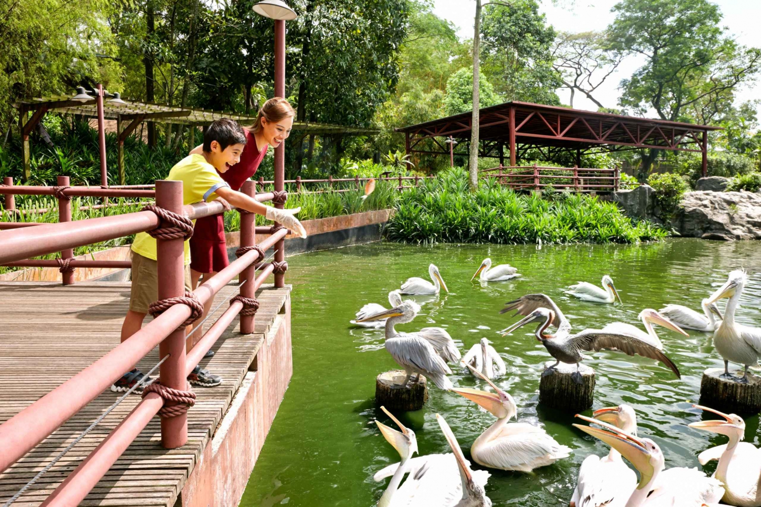 Singapore Zoo: 1-Day Entrance E-Ticket