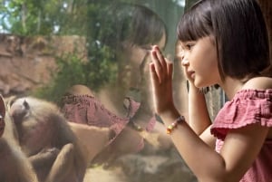 シンガポール動物園：1日入場券Eチケット