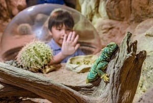 Singapur Zoo: 1-Tages-Eintritts-E-Ticket