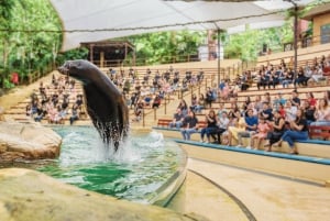 Singapur Zoo: 1-Tages-Eintritts-E-Ticket