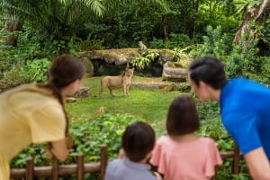 Singapur Zoo: 1-Tages-Eintritts-E-Ticket