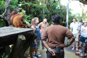 Singapore Zoo Morning Ticket with Hotel Pick-Up