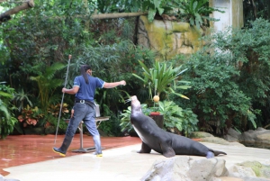 Singapore Zoo Morning Ticket with Hotel Pick-Up