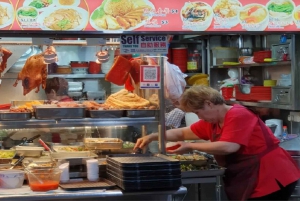 Singapore's Culture, Food & Transport Tour