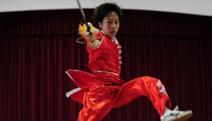 Sino Wushu