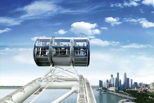 Skip-the-Line Ticket: Singapore Flyer Premium Experience