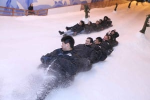 Bilet na 1 godzinę zabawy w Snow City Singapore