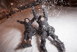 Bilet na 1 godzinę zabawy w Snow City Singapore