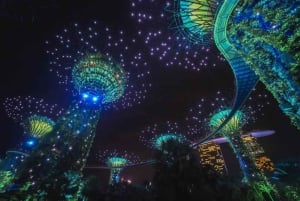 Espectáculos Spectra y Garden Rhapsody con el crucero por el río Singapur