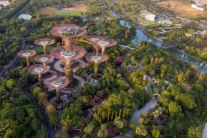 Истории об экологичном Сингапуре: пешеходная экскурсия