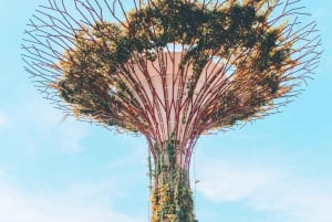 Verhalen over duurzaam Singapore: wandeltour