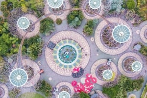 Verhalen over duurzaam Singapore: wandeltour