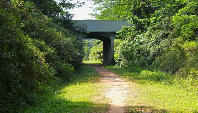 The Green Corridor