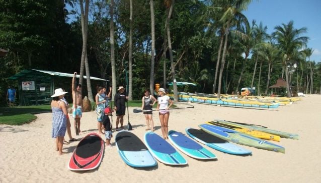 The Stand Up Paddling School