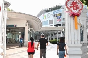 Ochtendtour Singapore: Gardens by the Bay & Sentosa Transfer