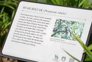 Ochtendtour Singapore: Gardens by the Bay & Sentosa Transfer