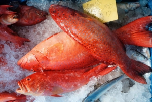 Tiong Bahru: verhalen en snacks in Singapore's oudste wijk