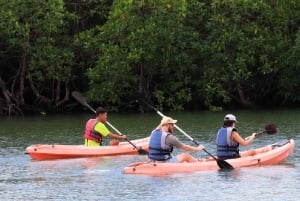Treasure Bay Bintan Island Resort: 1-Day Entry Ticket