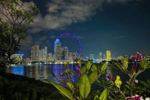 Singapore Sunset River Cruise and Glittering Light Shows