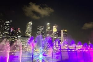 Singapore: Twilight Tour with River Cruise and Light Shows