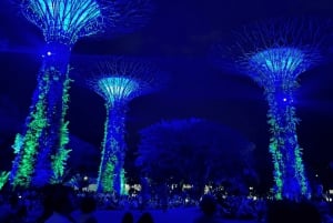 Singapore: Twilight Tour with River Cruise and Light Shows