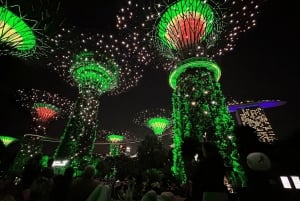 Singapore: Twilight Tour with River Cruise and Light Shows