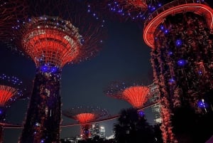 Singapore: Twilight Tour with River Cruise and Light Shows