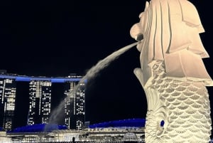 Singapore: Twilight Tour with River Cruise and Light Shows