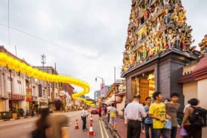 シンガポール中心部のウォーキングツアーと伝統的なSG料理