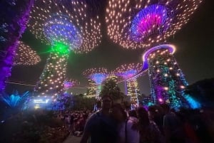 Tour serale nel weekend: crociera fluviale serale con 2 spettacoli di luci