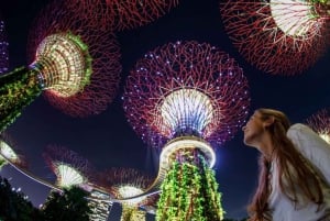 Tour serale nel weekend: crociera fluviale serale con 2 spettacoli di luci