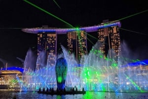 Tour serale nel weekend: crociera fluviale serale con 2 spettacoli di luci