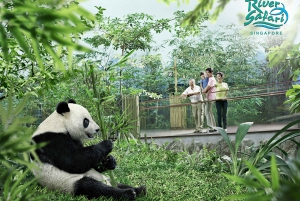 Wildlife Experience - River Safari with Hotel Pick-Up