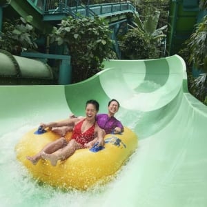 Adventure Cove Waterpark™