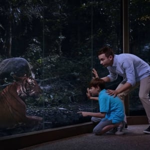Singapore Night Safari with Tram Ride