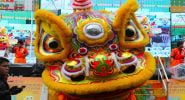 Chinese New Year Lion Dance