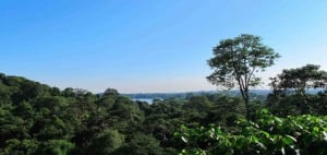 View of Peirce Reservoir from MacRitchie