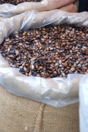 Auspicious Watermelon Seeds- Chinese New Year