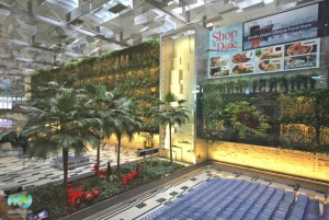 Baggage Claim Hall T3- Changi Airport