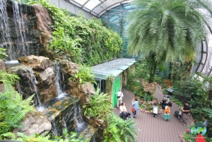 Butterfly Garden- Changi Airport