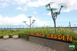 Cactus Garden- Changi Airport