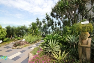 Cactus Garden- Changi Airport