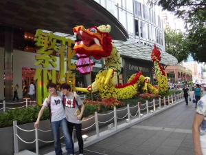 Chinese New Year Chrysanthemum Dragon,Orchard Rd