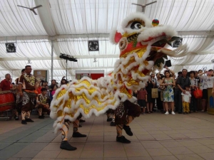 Chinese New Year Lion Dance
