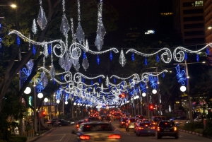 Christmas 2013 on Orchard Road