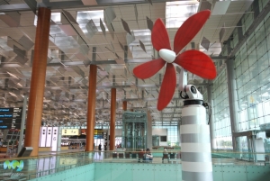 Daisy T3- Changi Airport
