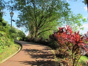 Fort Canning Park-A  Rejuvenating Stroll
